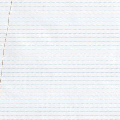 40113NE Page 98 Bonneville Salt Flats Topo Preview 2