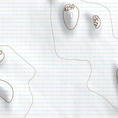 40113NE Page 99 Bonneville Salt Flats Topo Preview 2