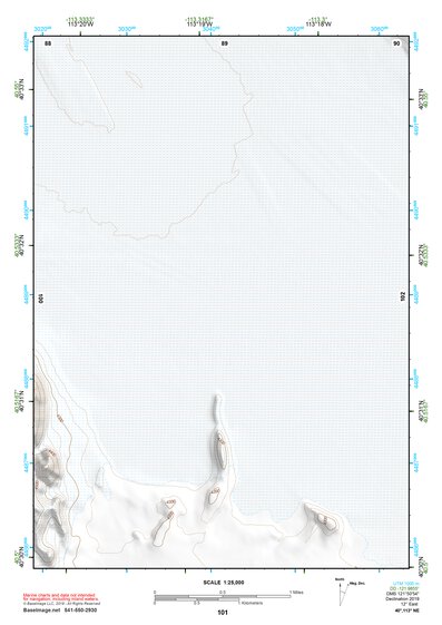 40113NE Page 101 Bonneville Salt Flats Topo Preview 1