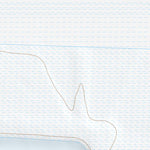 40113NW Page 50 Bonneville Salt Flats Topo Preview 2