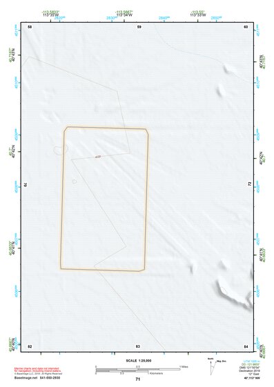 40113NW Page 71 Bonneville Salt Flats Topo Preview 1