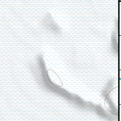 40113NW Page 71 Bonneville Salt Flats Topo Preview 3