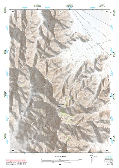 40113SE Page 78 Wildcat Mountain Topo Preview 1