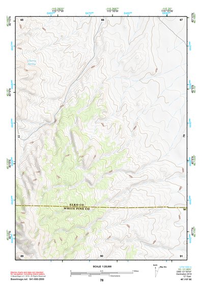 40115SE Page 78 Ruby Lake Topo Preview 1