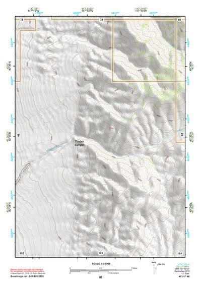 40117NE Page 91 Winnemucca Topo Preview 1