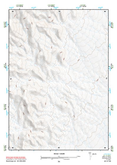 40117SW Page 71 Fish Creek Mountains Topo Preview 1