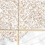 40118NE Page 5 Eugene Mountains Topo Preview 3