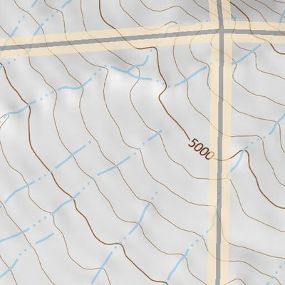 40118NE Page 10 Eugene Mountains Topo Preview 2