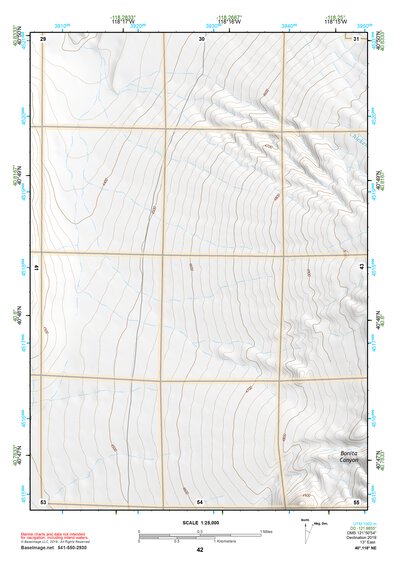 40118NE Page 42 Eugene Mountains Topo Preview 1