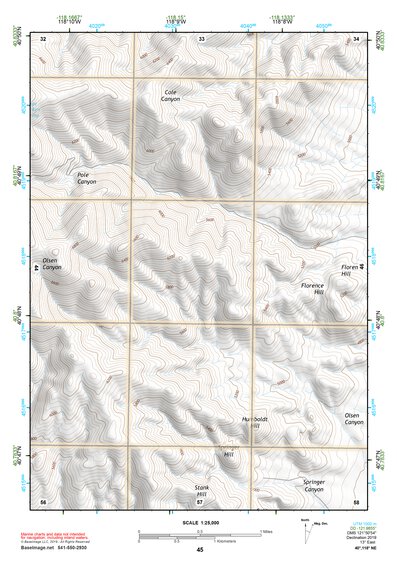 40118NE Page 45 Eugene Mountains Topo Preview 1