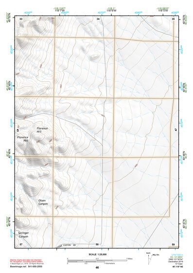 40118NE Page 46 Eugene Mountains Topo Preview 1
