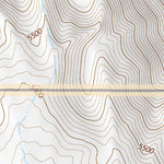 40118NE Page 49 Eugene Mountains Topo Preview 2