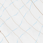 40118NE Page 53 Eugene Mountains Topo Preview 3