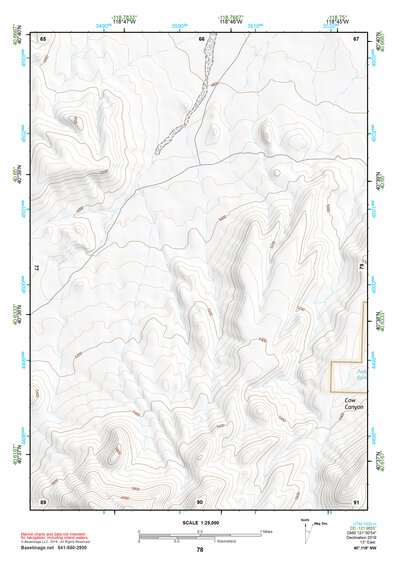 40118NW Page 78 Eugene Mountains Topo Preview 1