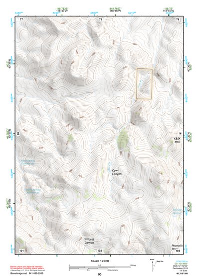 40118NW Page 90 Eugene Mountains Topo Preview 1