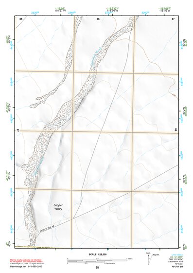40118SW Page 98 Lovelock Topo Preview 1