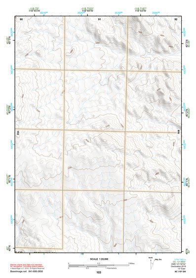 40118SW Page 103 Lovelock Topo Preview 1