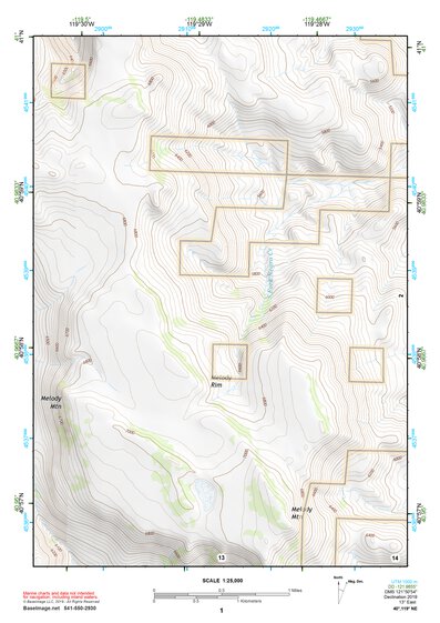 40119NE Page 1 Gerlach Topo Preview 1