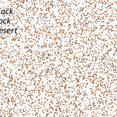 40119NE Page 21 Gerlach Topo Preview 3