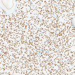 40119NE Page 30 Gerlach Topo Preview 3