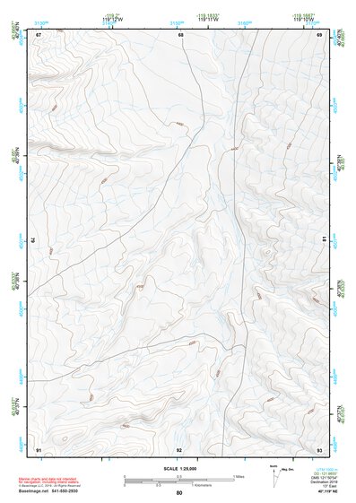 40119NE Page 80 Gerlach Topo Preview 1