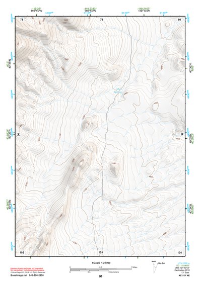 40119NE Page 91 Gerlach Topo Preview 1