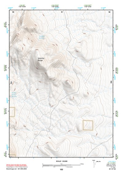 40119NE Page 103 Gerlach Topo Preview 1