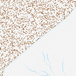 40119SW Page 8 Kumiva Peak Topo Preview 3