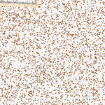 40119SW Page 74 Kumiva Peak Topo Preview 3