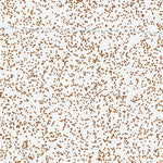 40119SW Page 75 Kumiva Peak Topo Preview 3