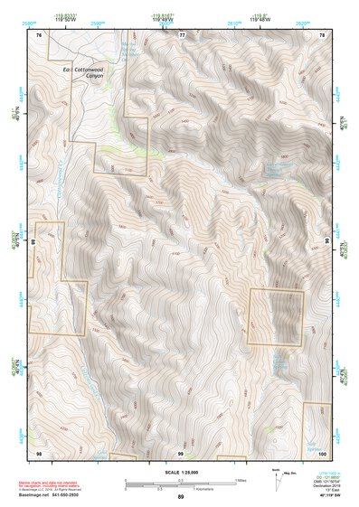 40119SW Page 89 Kumiva Peak Topo Preview 1