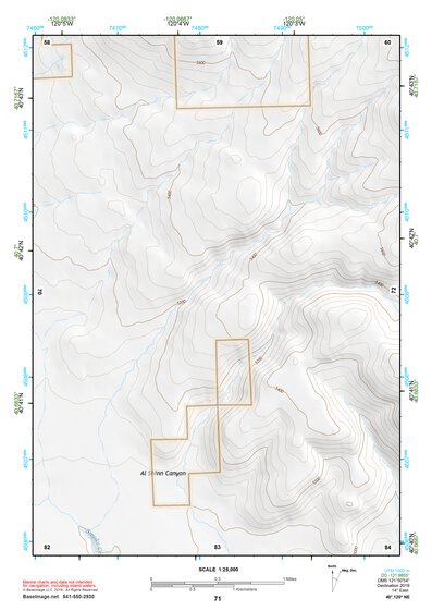 40120NE Page 71 Eagle Lake Topo Preview 1