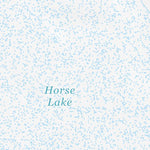 40120NE Page 73 Eagle Lake Topo Preview 3