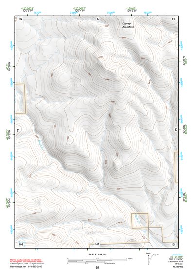 40120NE Page 95 Eagle Lake Topo Preview 1