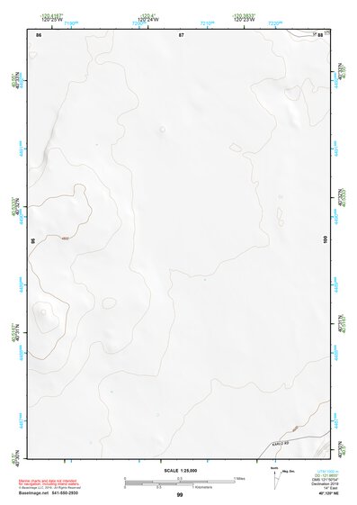 40120NE Page 99 Eagle Lake Topo Preview 1