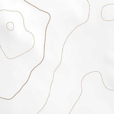 40120NE Page 99 Eagle Lake Topo Preview 3