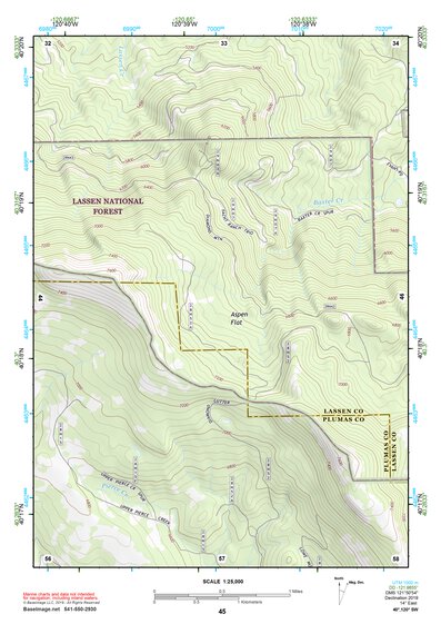 40120SW Page 45 Susanville Topo Preview 1