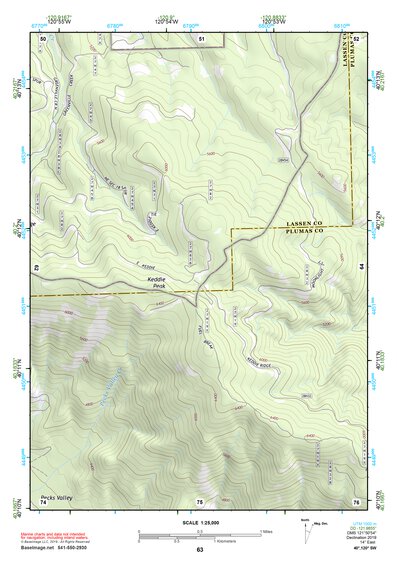 40120SW Page 63 Susanville Topo Preview 1