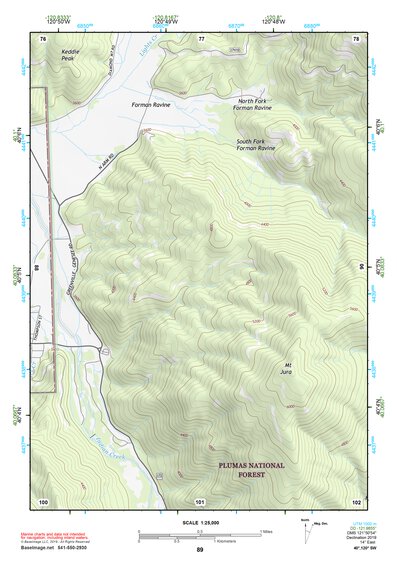 40120SW Page 89 Susanville Topo Preview 1