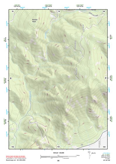 40120SW Page 91 Susanville Topo Preview 1