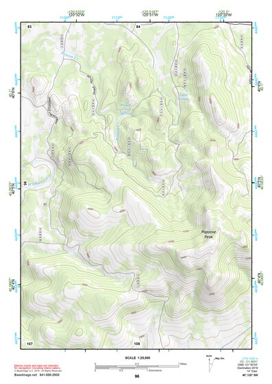 40120SW Page 96 Susanville Topo Preview 1