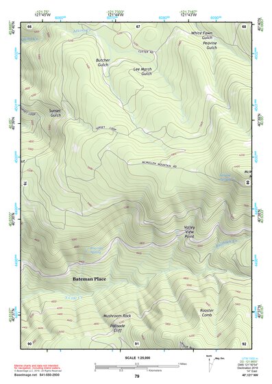 40121NW Page 79 Burney Topo Preview 1
