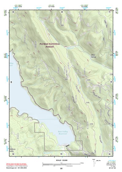 40121SE Page 81 Lake Almanor Topo Preview 1