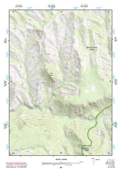 40121SW Page 91 Lake Almanor Topo Preview 1