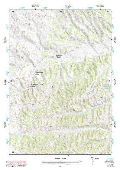 40122SW Page 58 Red Bluff Topo Preview 1