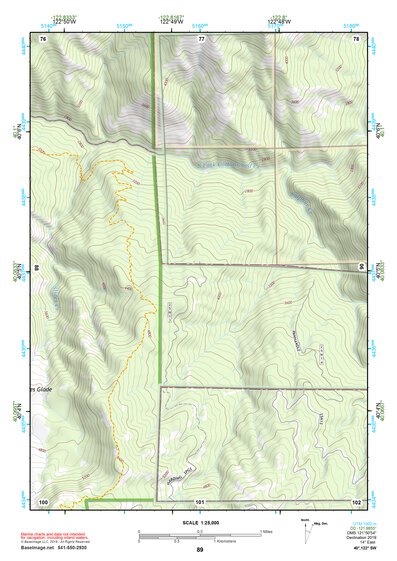 40122SW Page 89 Red Bluff Topo Preview 1