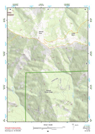 40122SW Page 99 Red Bluff Topo Preview 1