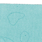 (41083e1) Page 045 Toledo Preview 2