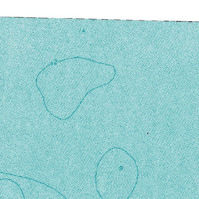 (41083e1) Page 045 Toledo Preview 2