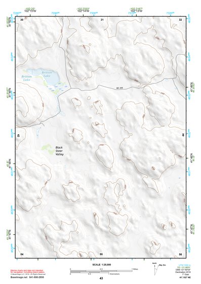 41102NE Page 43 Crescent Lake Topo Preview 1